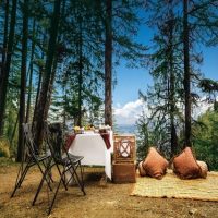 Luxury Shimla Tour
